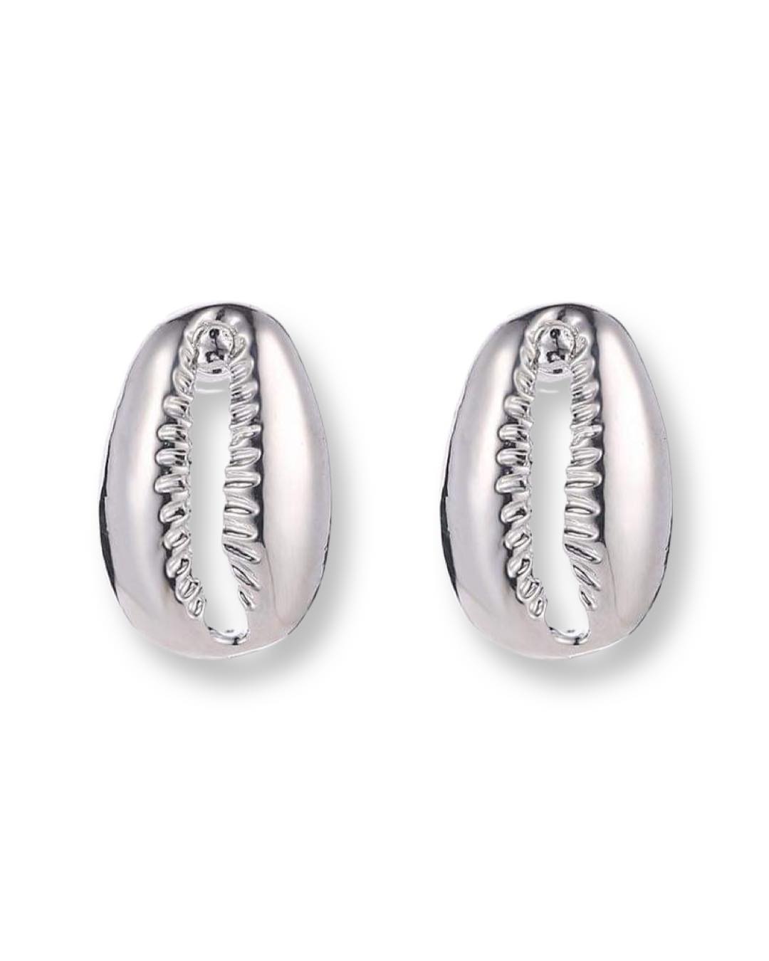 Aretes De Concha Plata